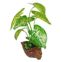 Other Leafy Plant 22cm Assorted -Barbie Sales Store 314cf2f00b0ce7d11409a749d87b7fc5 thumb