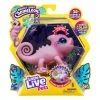 Little Live Pets Lil Chameleon Series 2 Single Pack -Barbie Sales Store 5ca60223886f6755835dc148d193fe33 thumb