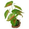 Other Leafy Plant 22cm Assorted