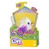 Little Live Pets Bird Series 10 Single Pack Assorted -Barbie Sales Store c2f1c6085a2a1a2a7b60c849a2cbf102 thumb